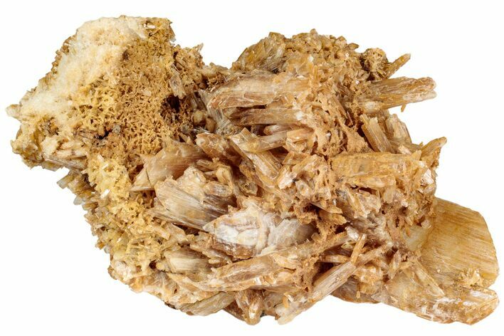 Butterscotch Selenite Crystals - Mt Gunson, Australia #239498